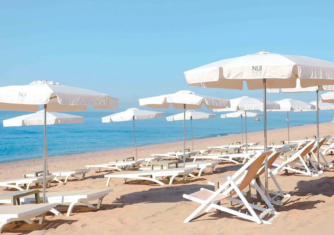Kaktus Hotel Volga - Adults Recommended Calella
